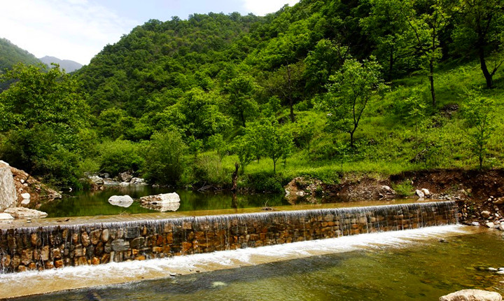 牛背梁国家森林公园