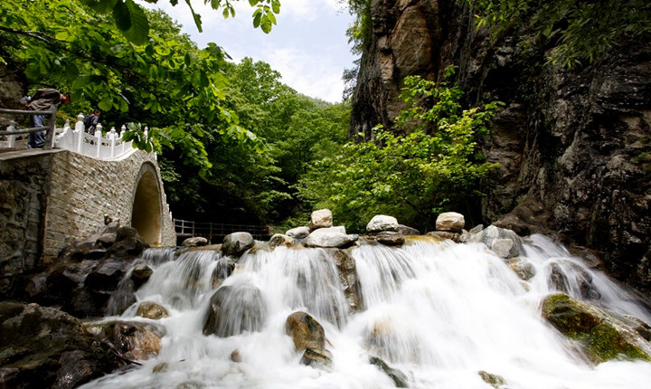 牛背梁国家森林公园