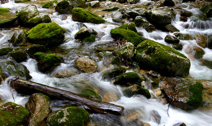 牛背梁国家森林公园