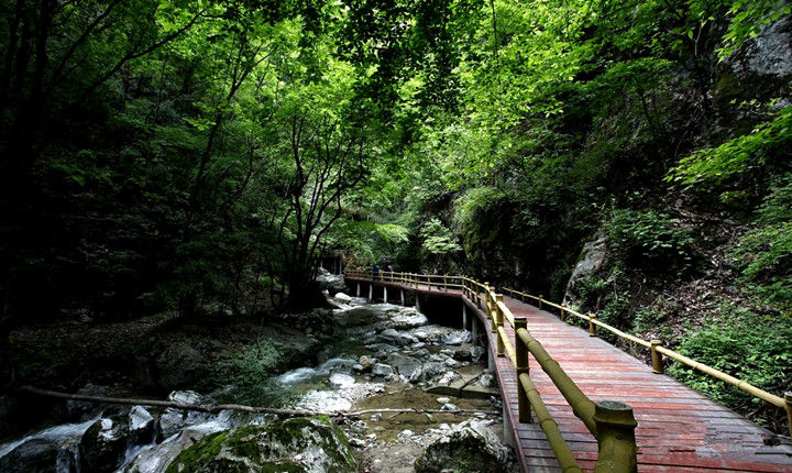 牛背梁森林公园