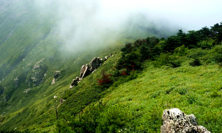 牛背梁国家森林公园