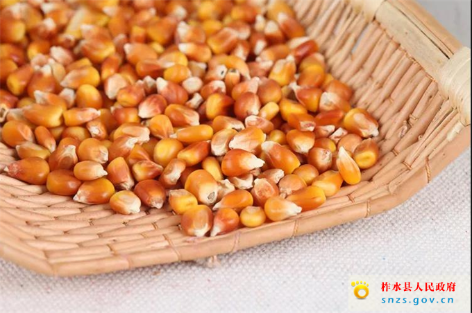 微信图片_20191225164341.jpg 微信图片_20191225164341.jpg