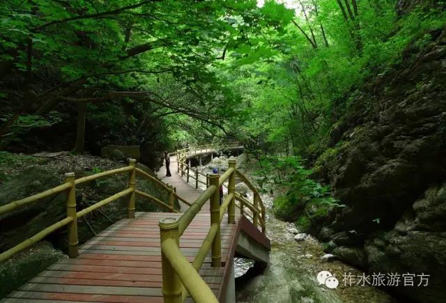 初秋|柞水邀你一起“森”呼吸